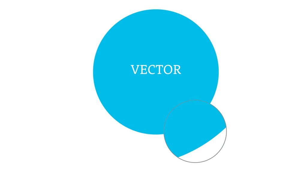 vector conversion service